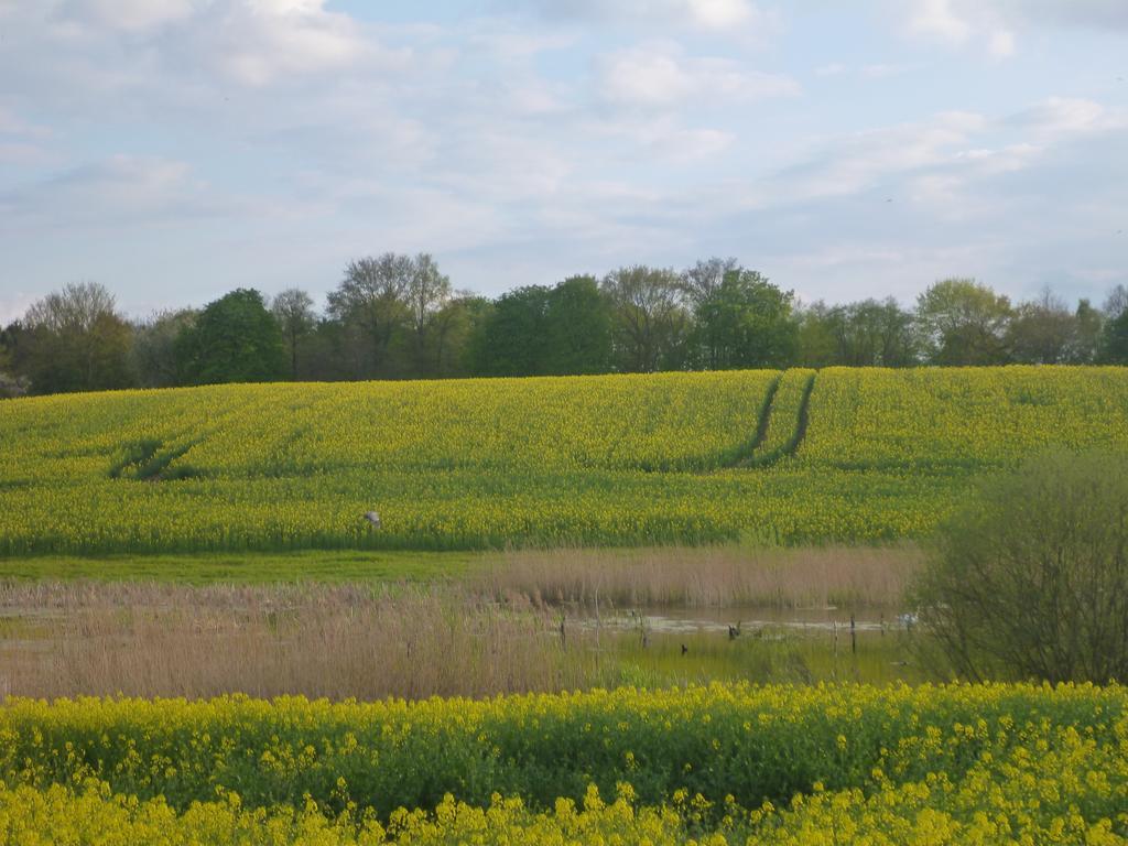 Das Haus Am Teich Gross Grabow Luaran gambar